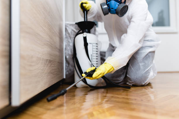 Wasp Removal Services in Whitemarsh Island, GA