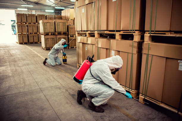 Best Wildlife Control Services  in Whitemarsh Island, GA