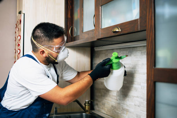 Flea Control Services in Whitemarsh Island, GA