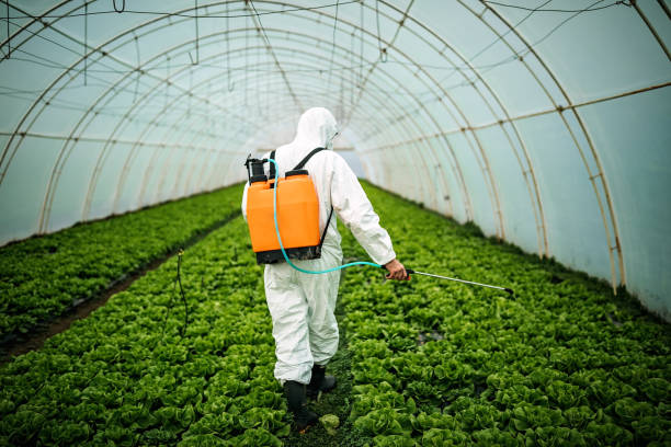 Best Pest Control Near Me  in Whitemarsh Island, GA