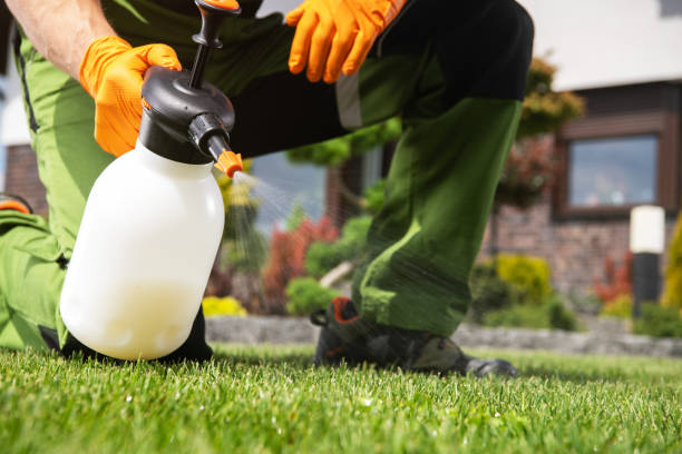Best Residential Pest Control  in Whitemarsh Island, GA