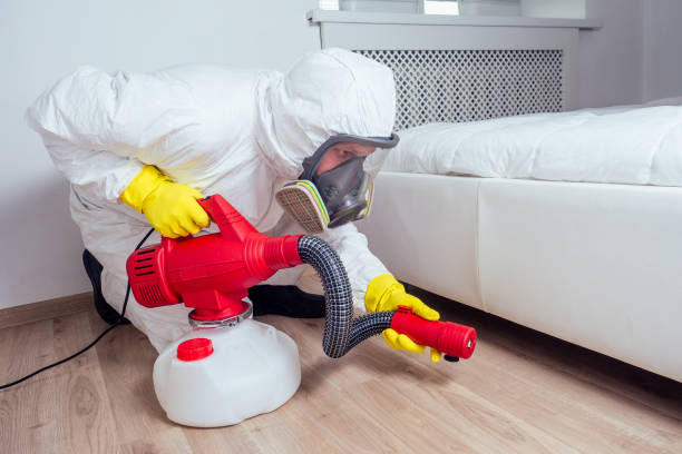 Best Pest Control for Homes  in Whitemarsh Island, GA