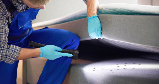 Best Exterminator Services  in Whitemarsh Island, GA