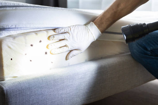  Whitemarsh Island, GA Pest Control Pros