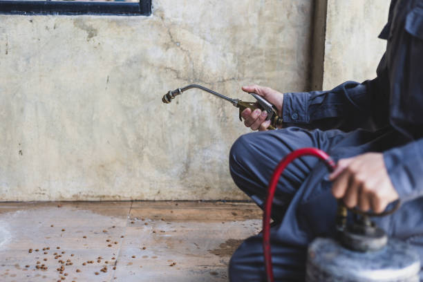 Best Pest Control Treatment  in Whitemarsh Island, GA
